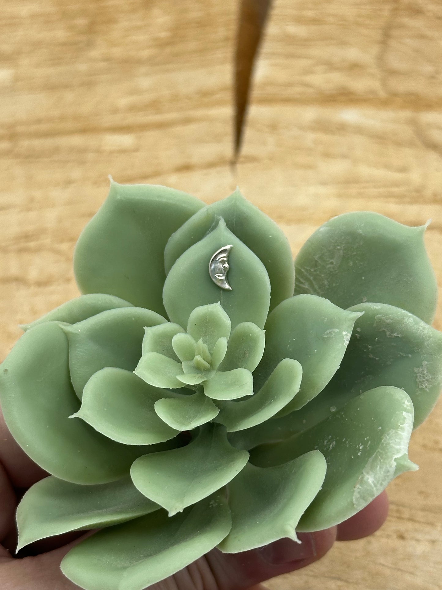 Build A Dainty Charm Ring