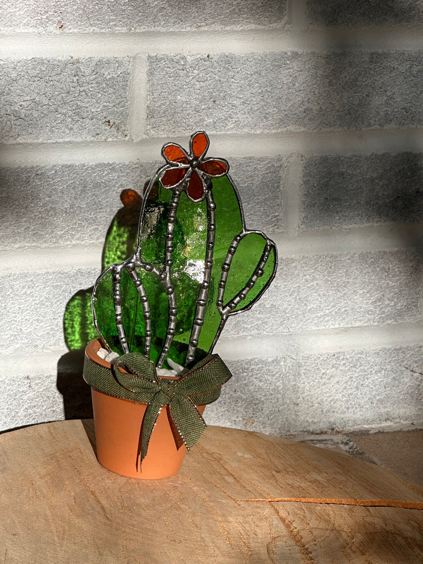 Forever Cactus with orange flower