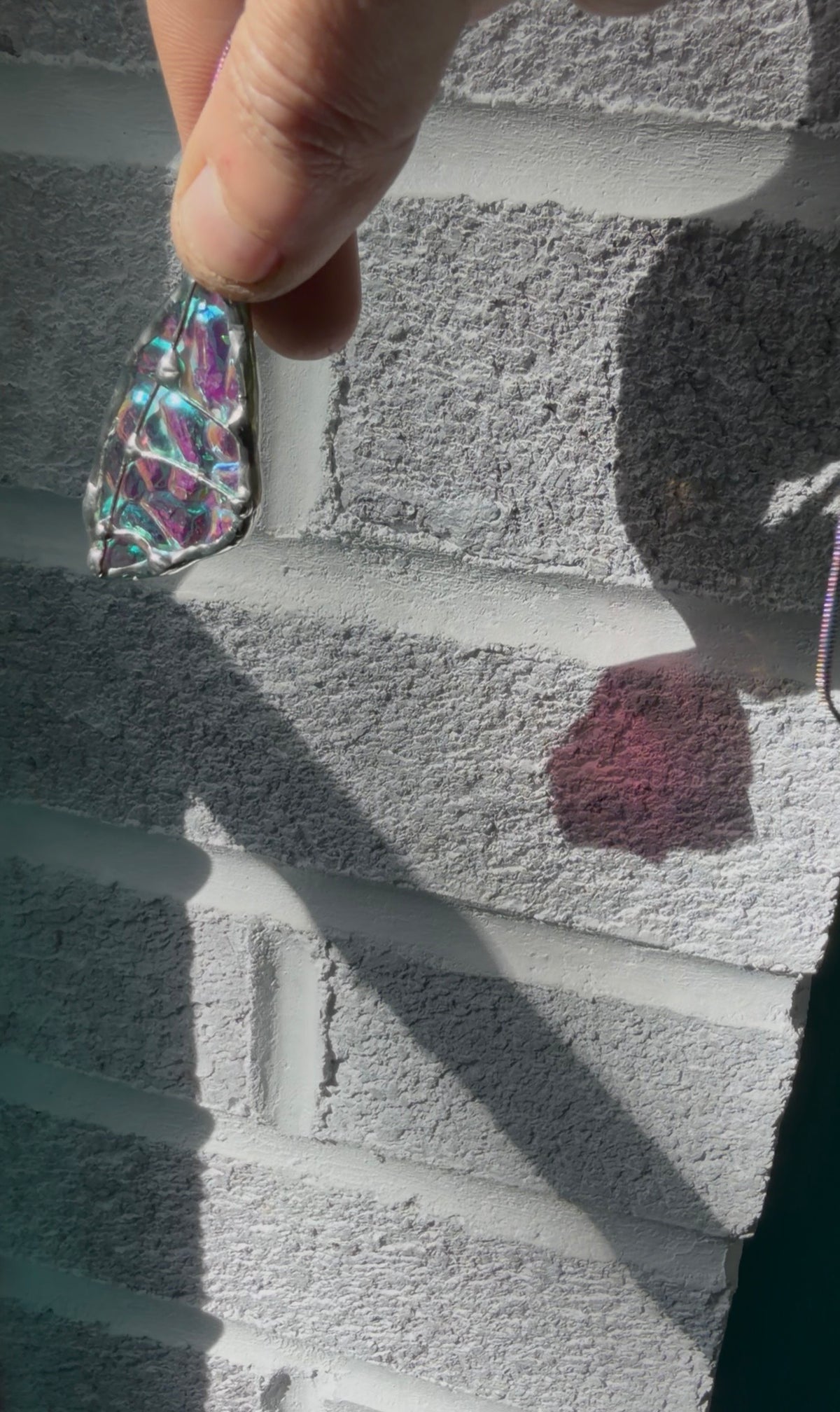 Dichroic Fairy Wing