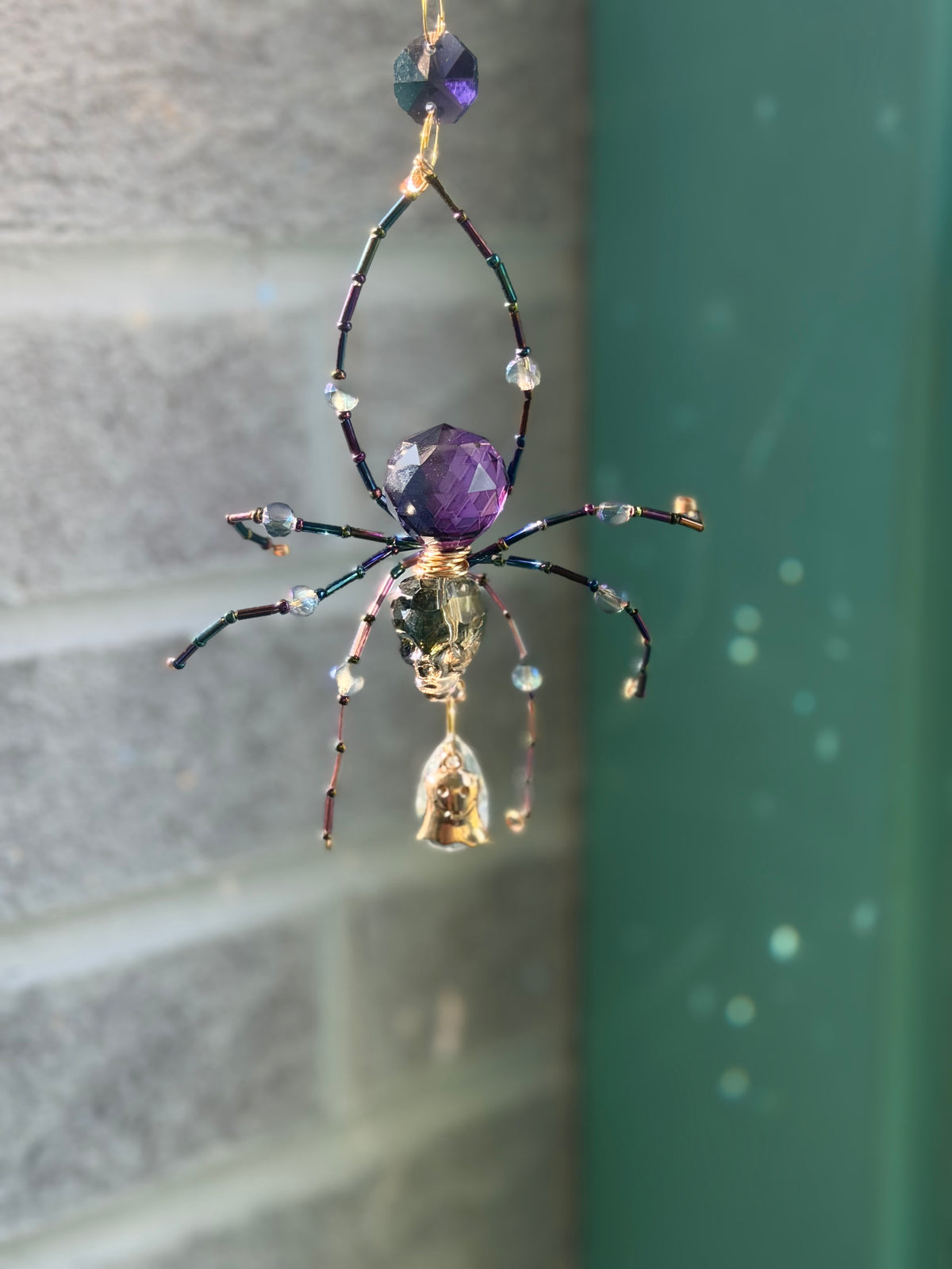 Skelly Face Spider
