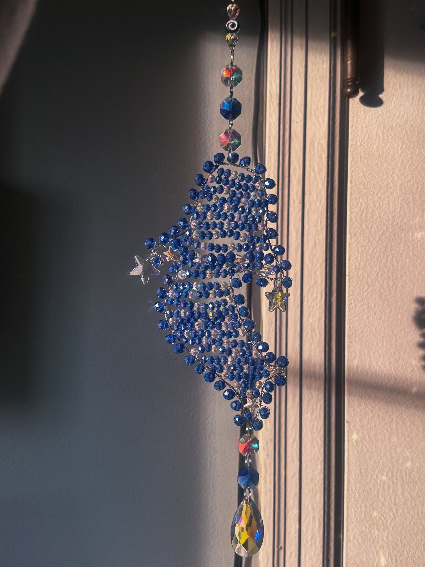 Star born the whale shark