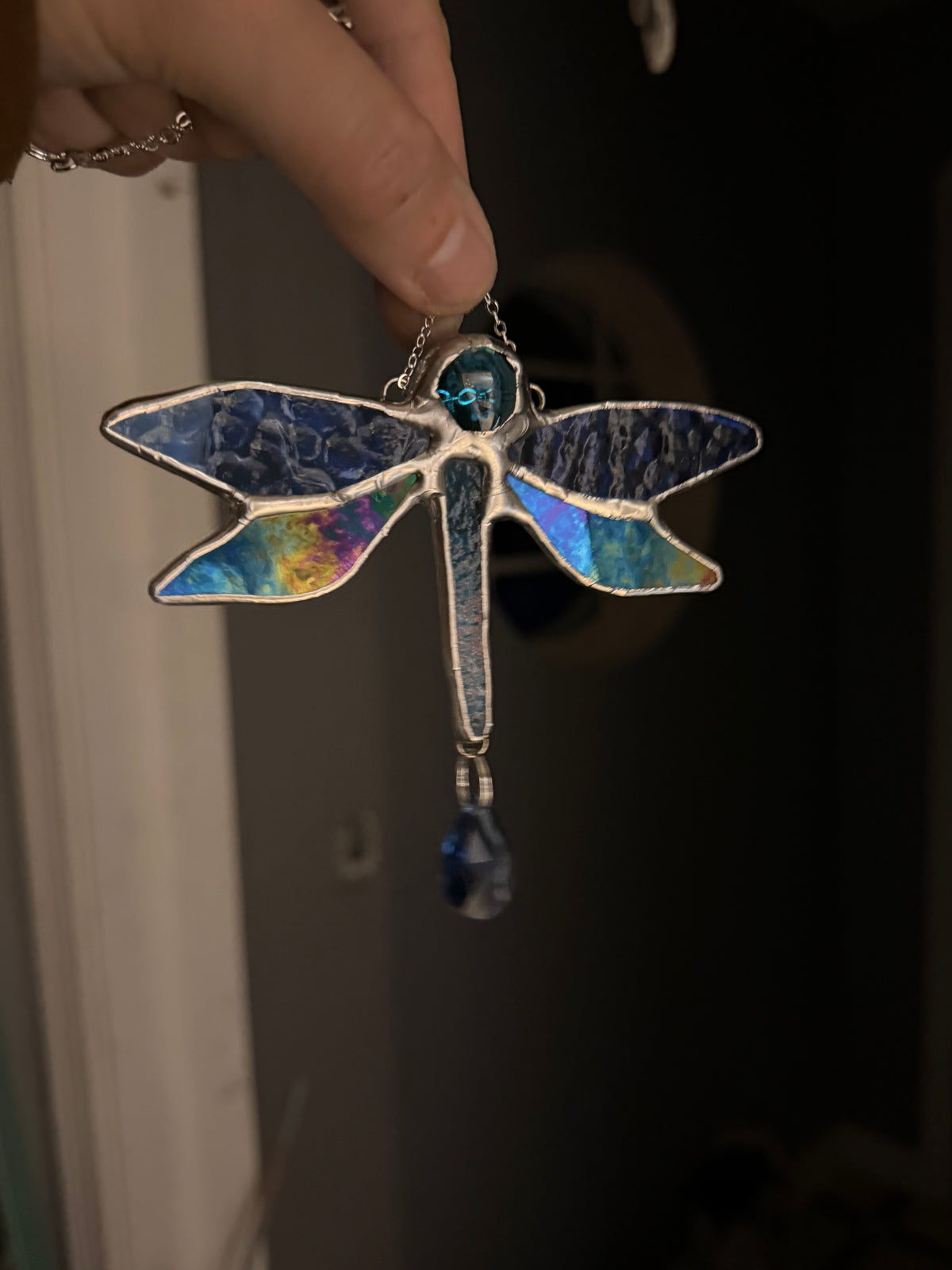 Blue Dragonfly