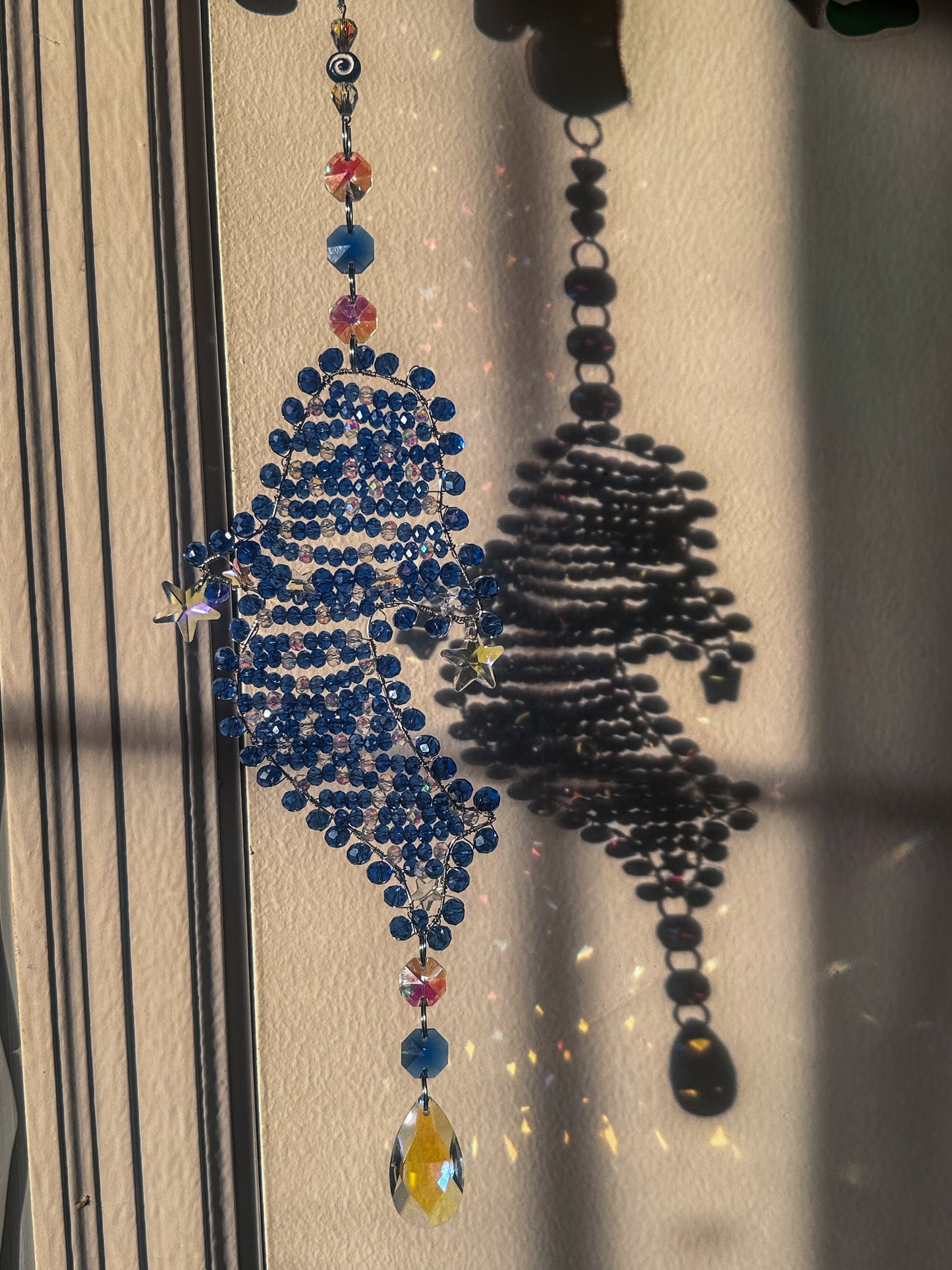 Star born the whale shark