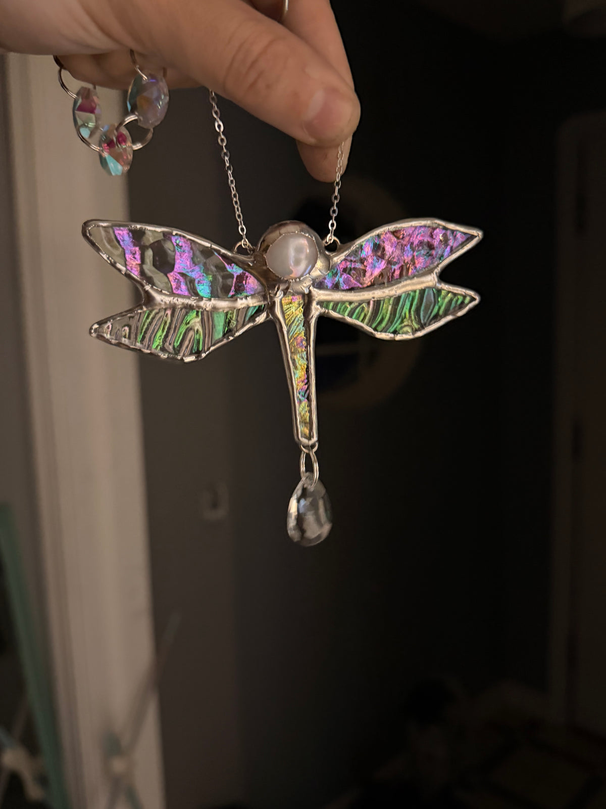 Iridescent dragonfly