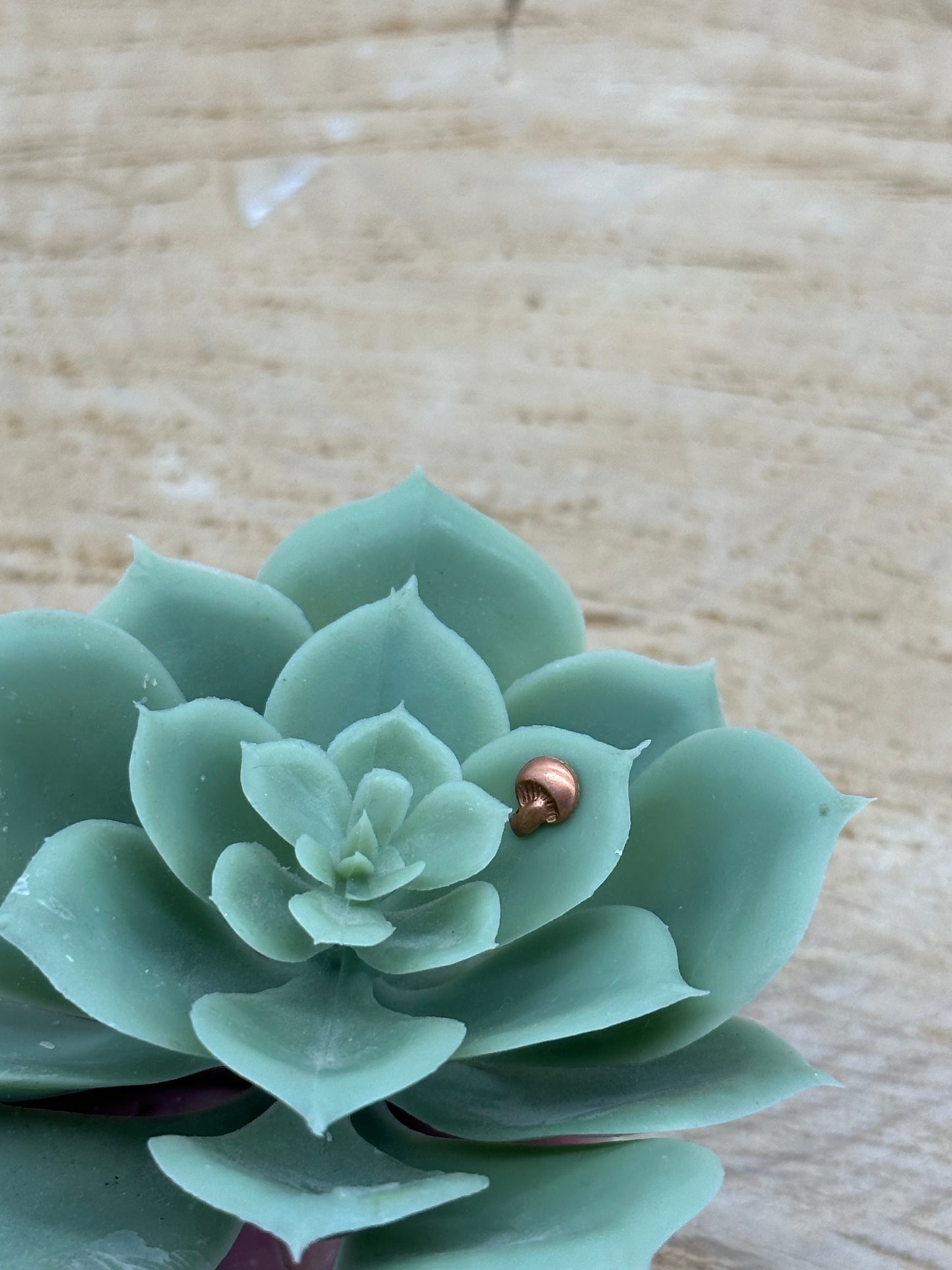 Build A Dainty Charm Ring
