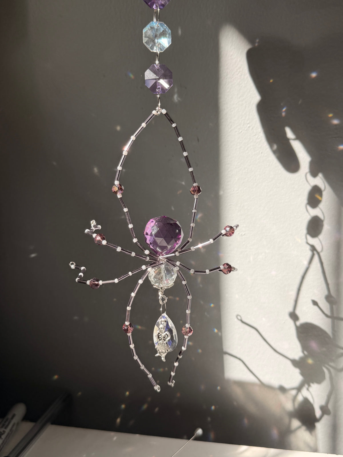Purple lady skeleton spider (large)