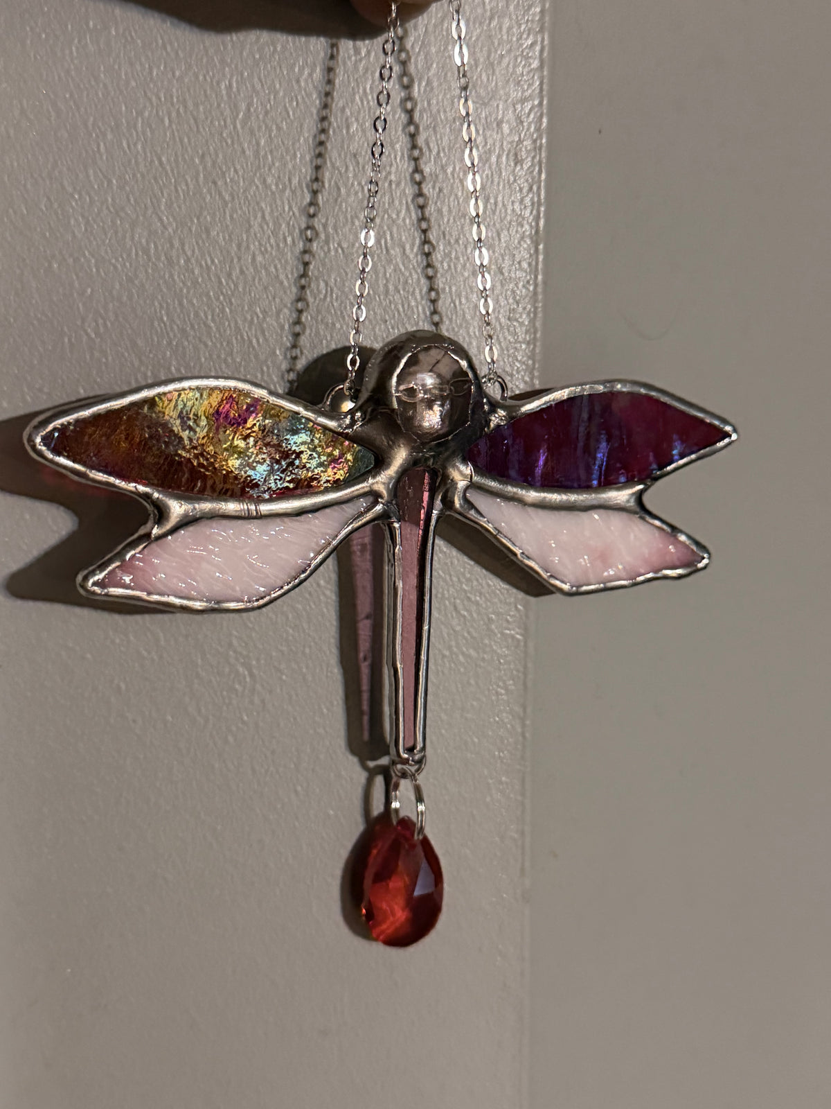 Red dragonfly