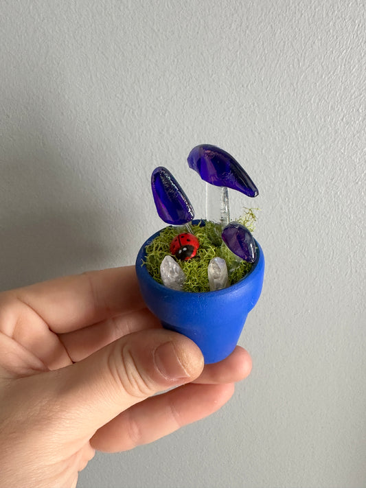 Tiny Mushroom Garden