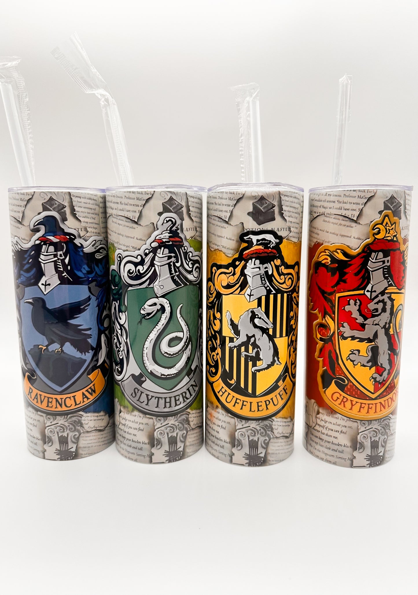 Potter Themed Houses 20 oz