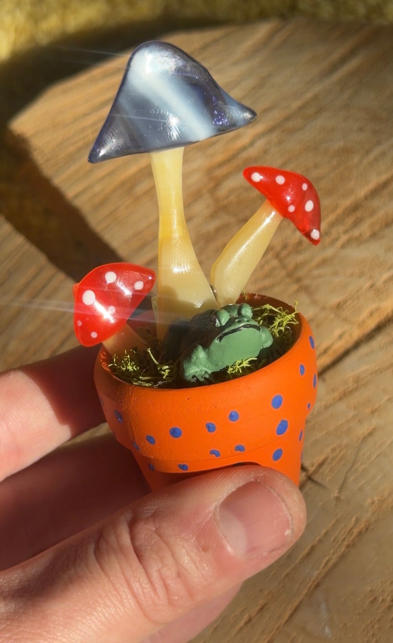 The frog umbrella