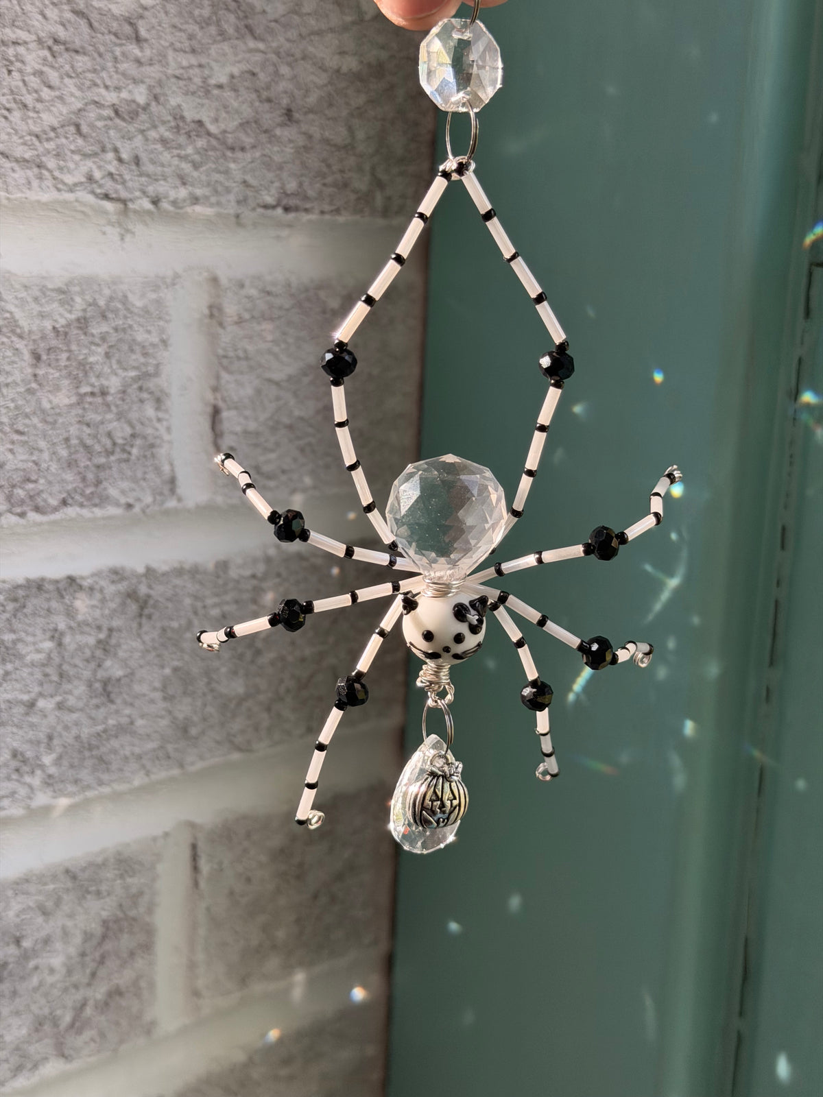 Skelly Cat Spider