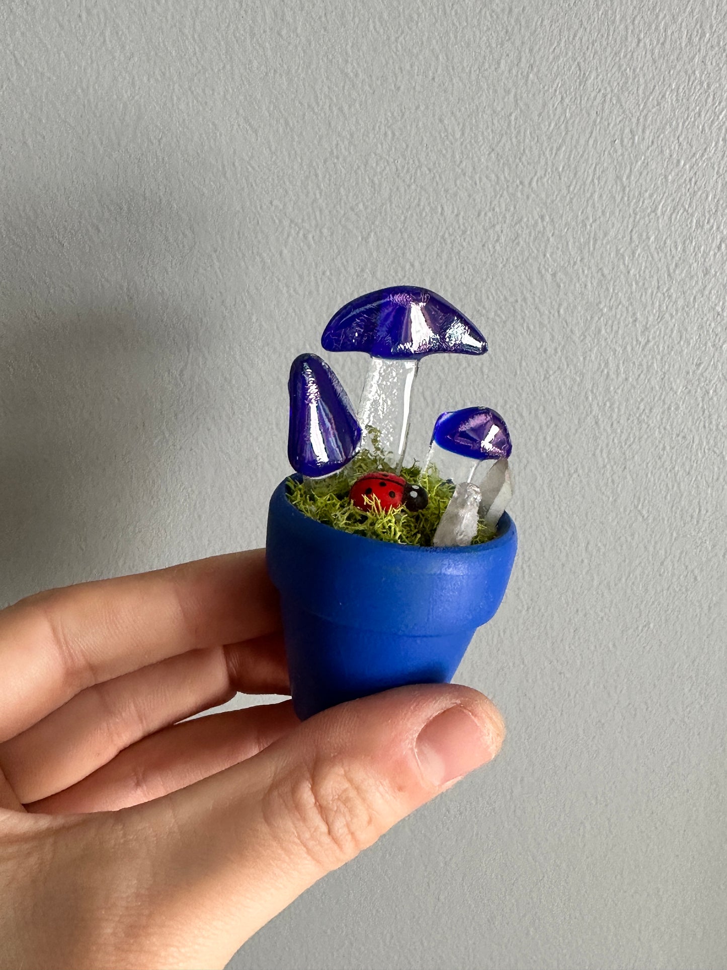Tiny Mushroom Garden