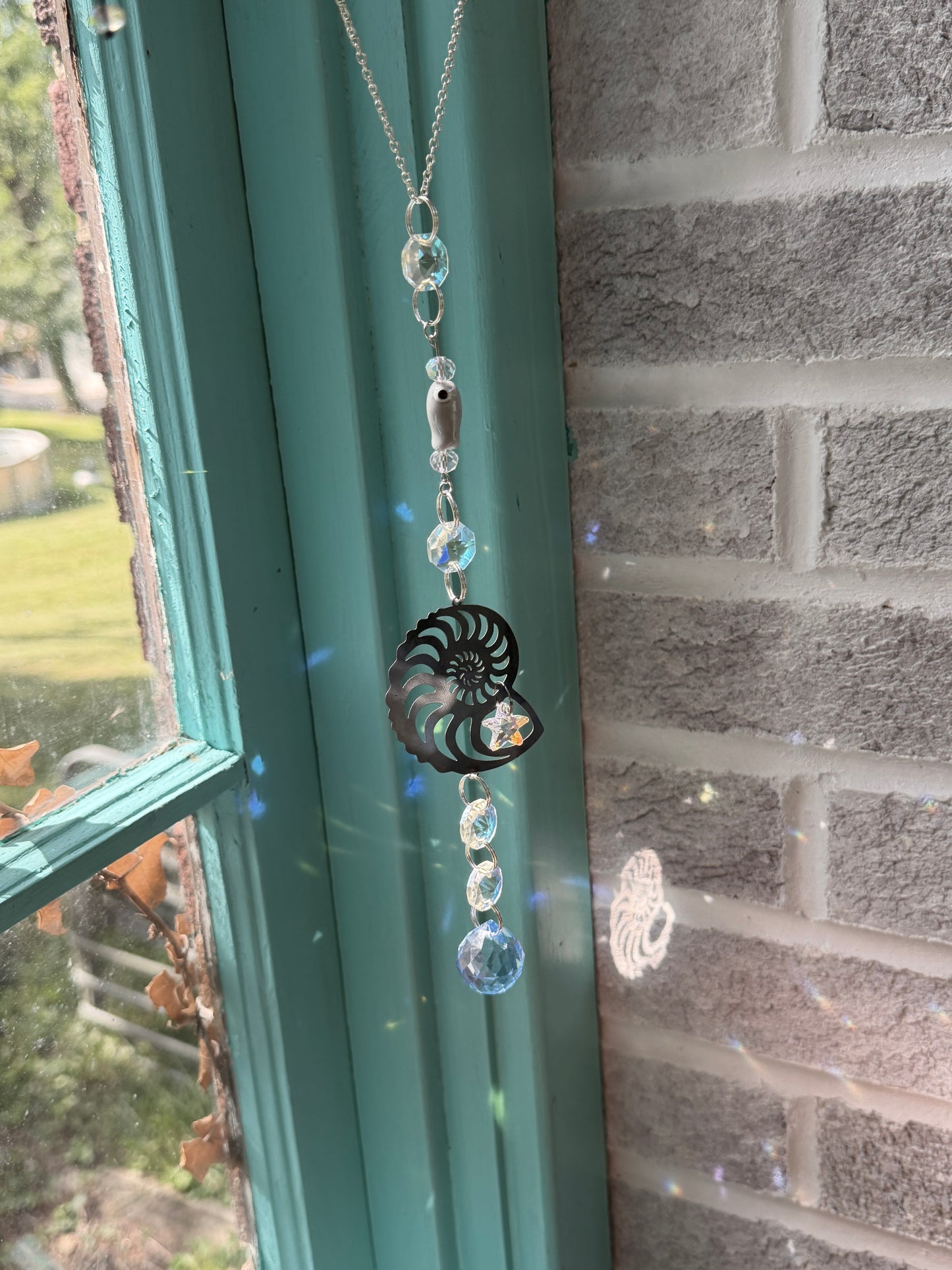 Nautilus
