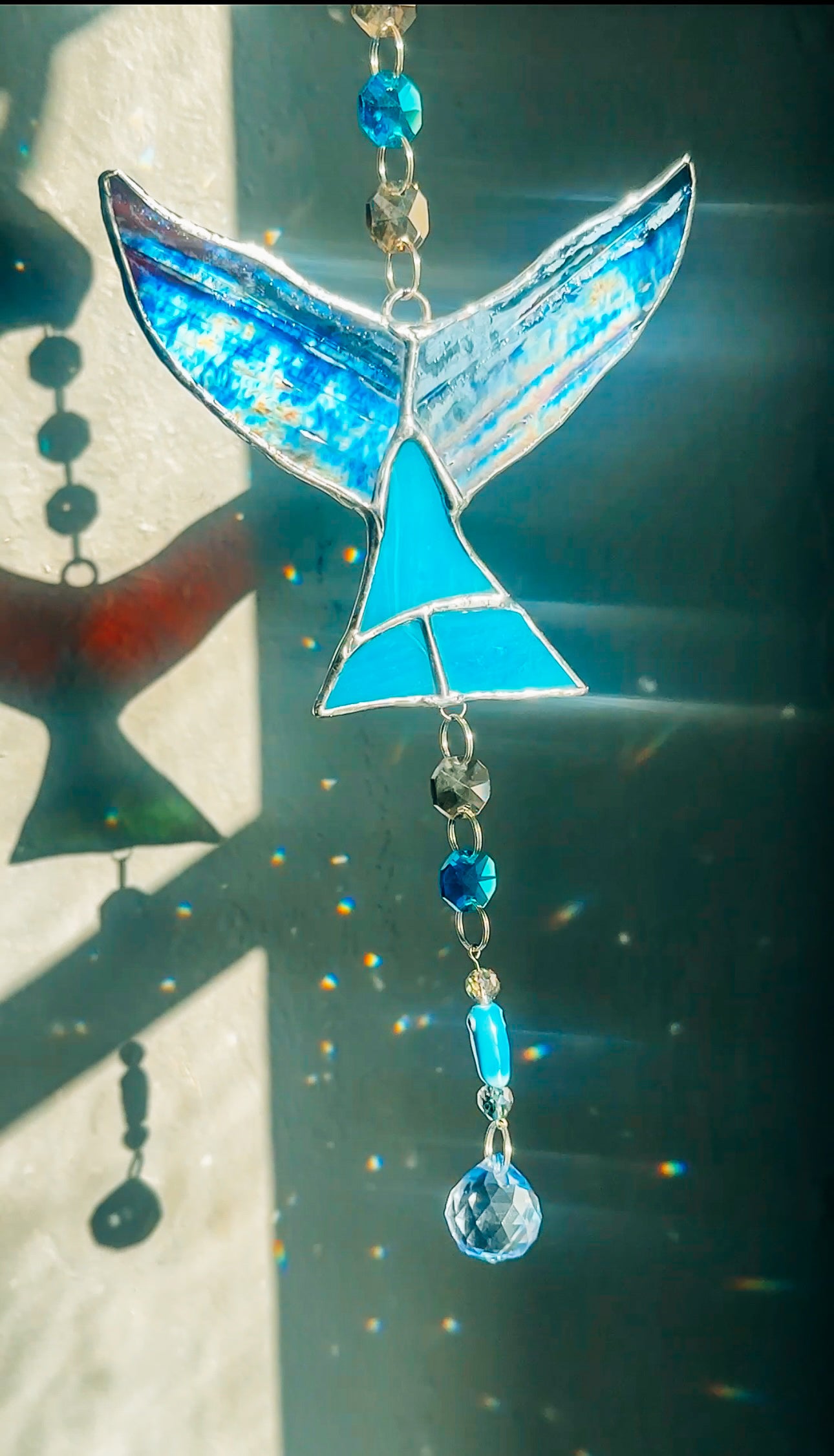 Beneath The Surface Whale Tail