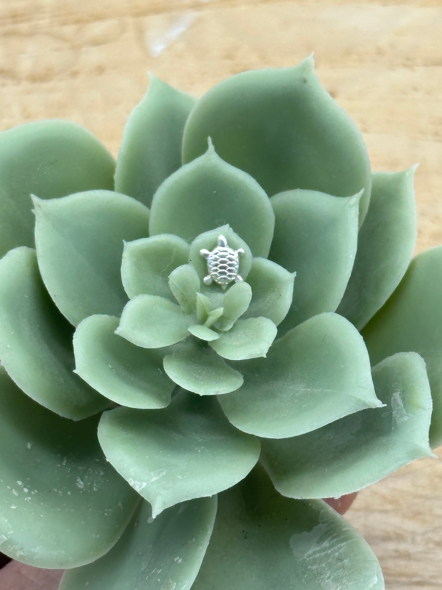 Build A Dainty Charm Ring
