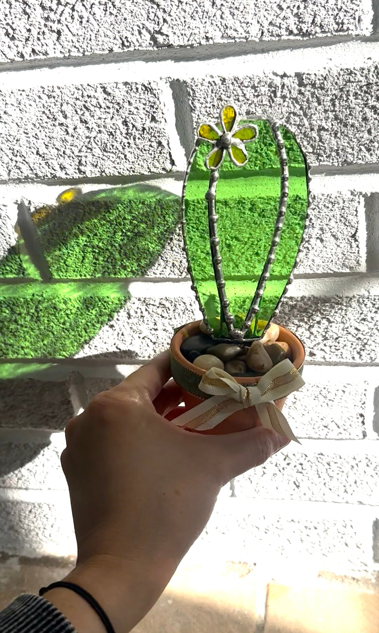 Forever cactus with yellow flower