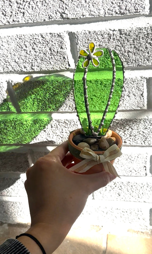 Forever cactus with yellow flower