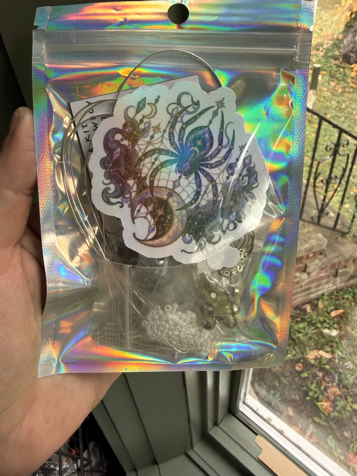 Surprise! Spider DIY Kit