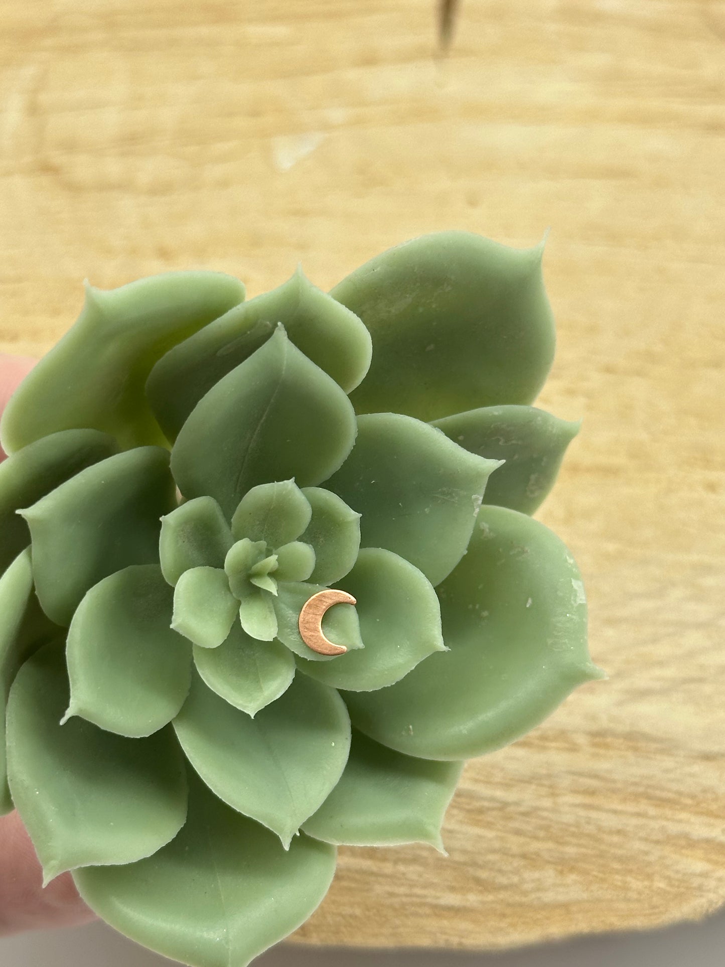 Build A Dainty Charm Ring