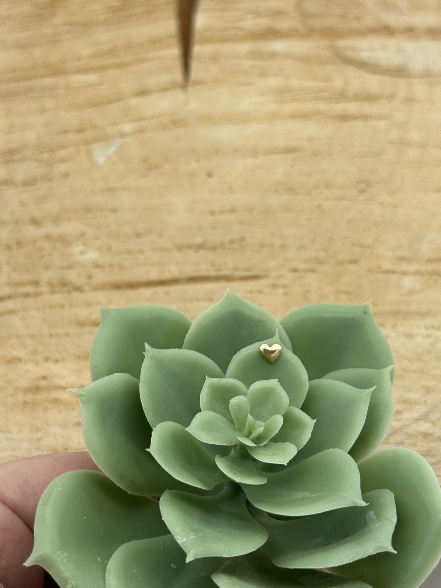 Build A Dainty Charm Ring